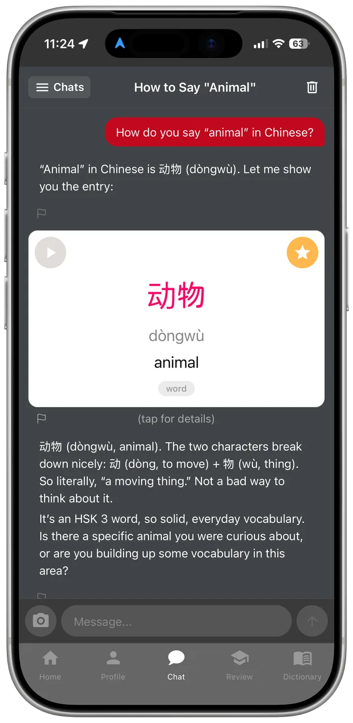 A chat with 老虎, the built-in AI tutor, explaining the word 动物 with a tappable dictionary card